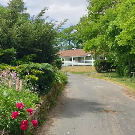 22 Chalet Zinnia *